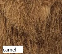 lama_kolory_camel